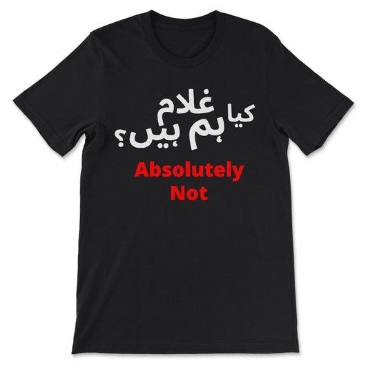 Pakistan Tehreek-e-Insaf Tabdeeli Imran Khan Naya Pakistan Gift Tee - - Black